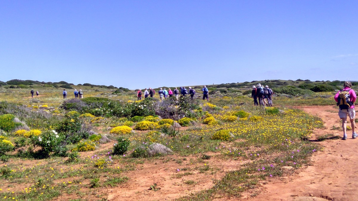 Walking Holidays in Lagoa: The West Algarve